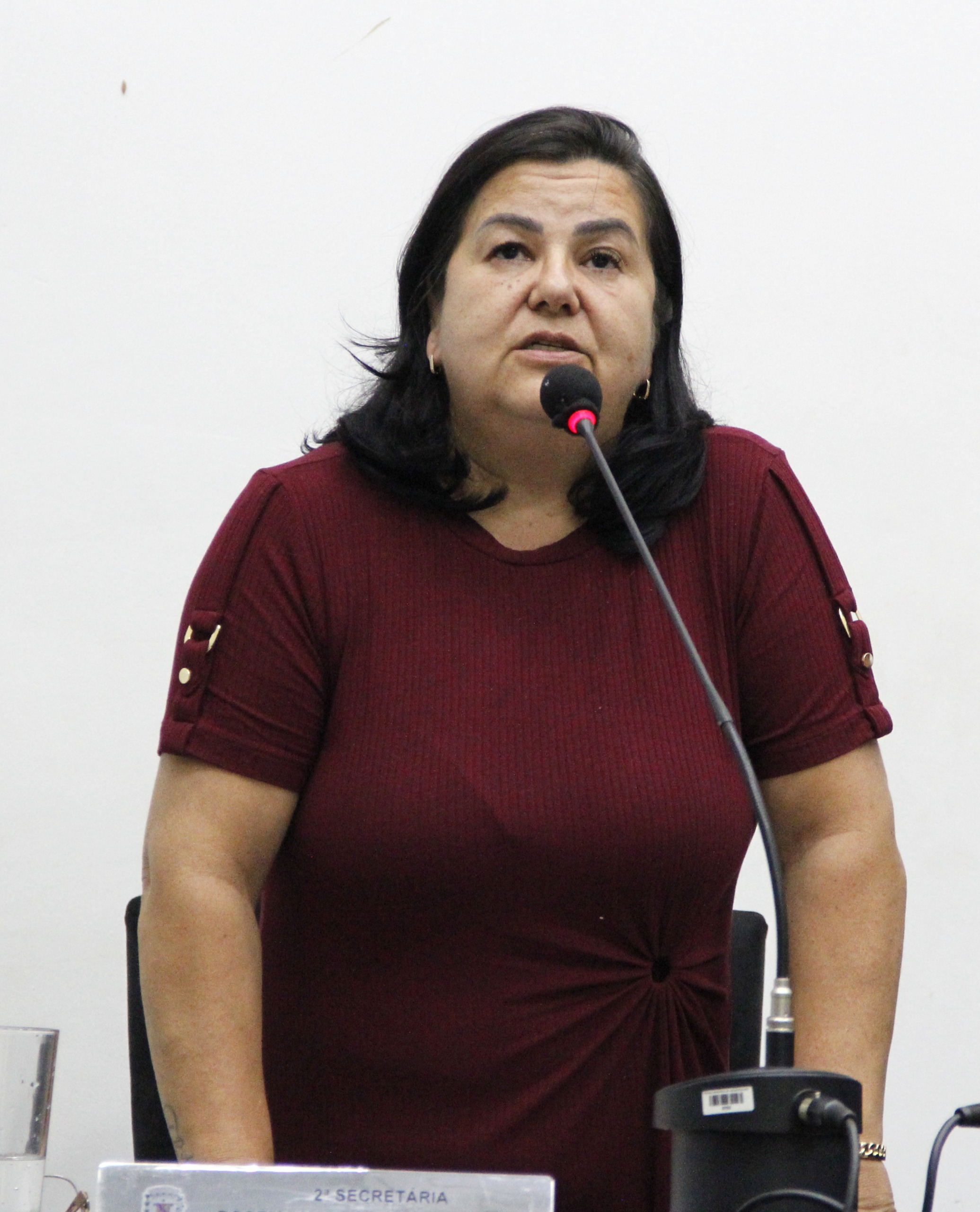 VEREADORES APROVAM LEI QUE VISA COIBIR O ABANDONO DE ANIMAIS E PROMOVER A TUTELA RESPONSÁVEL