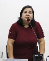 VEREADORES APROVAM LEI QUE VISA COIBIR O ABANDONO DE ANIMAIS E PROMOVER A TUTELA RESPONSÁVEL